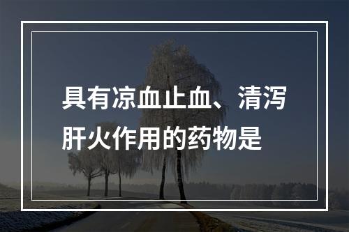 具有凉血止血、清泻肝火作用的药物是