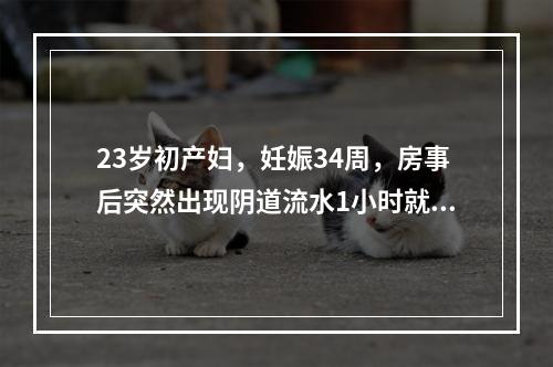 23岁初产妇，妊娠34周，房事后突然出现阴道流水1小时就诊。