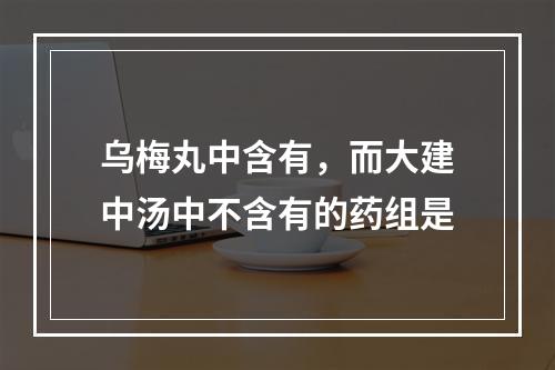 乌梅丸中含有，而大建中汤中不含有的药组是