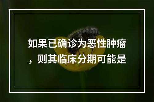 如果已确诊为恶性肿瘤，则其临床分期可能是