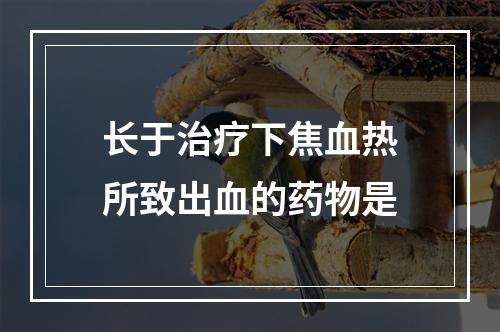 长于治疗下焦血热所致出血的药物是