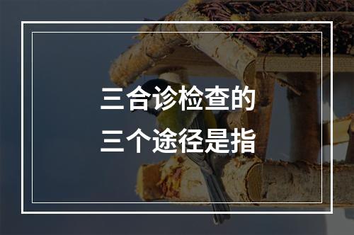 三合诊检查的三个途径是指