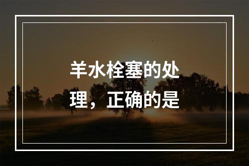 羊水栓塞的处理，正确的是