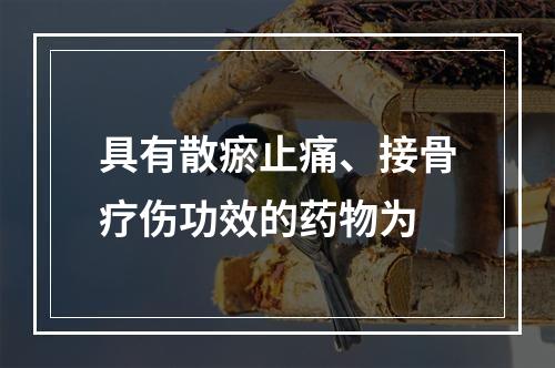 具有散瘀止痛、接骨疗伤功效的药物为