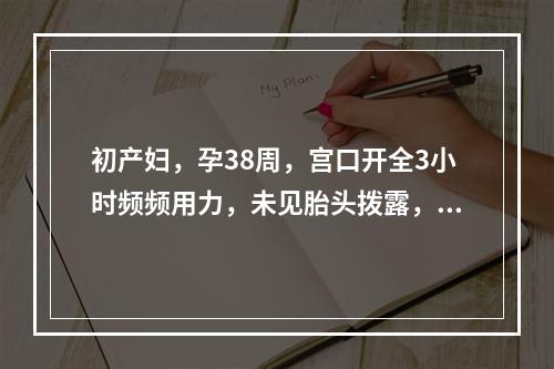 初产妇，孕38周，宫口开全3小时频频用力，未见胎头拨露，检查