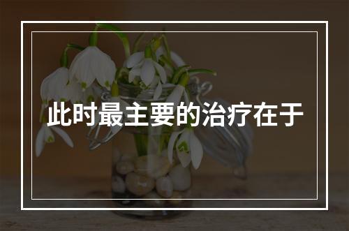 此时最主要的治疗在于