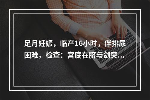 足月妊娠，临产16小时，伴排尿困难。检查：宫底在脐与剑突之间