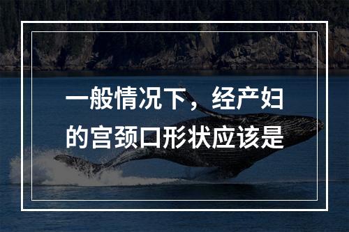 一般情况下，经产妇的宫颈口形状应该是