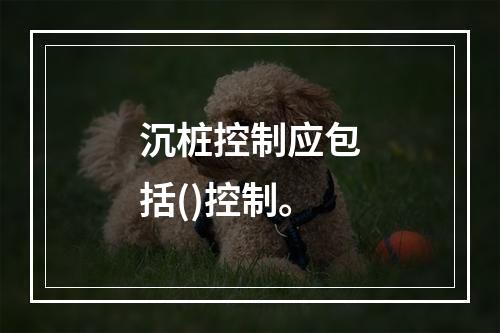 沉桩控制应包括()控制。