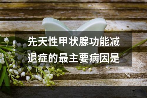 先天性甲状腺功能减退症的最主要病因是