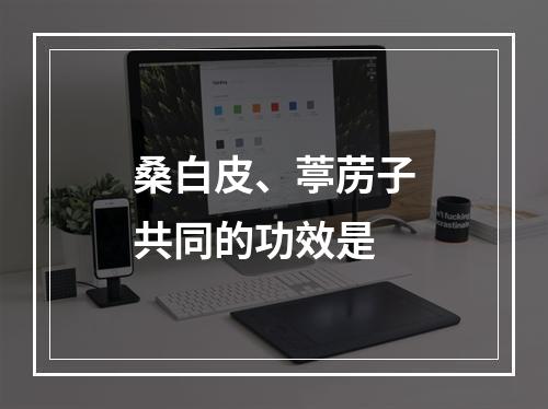 桑白皮、葶苈子共同的功效是