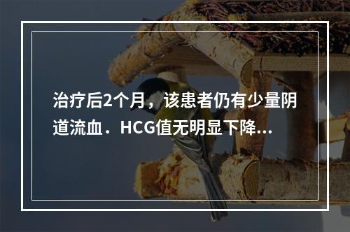 治疗后2个月，该患者仍有少量阴道流血．HCG值无明显下降，伴