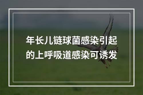 年长儿链球菌感染引起的上呼吸道感染可诱发