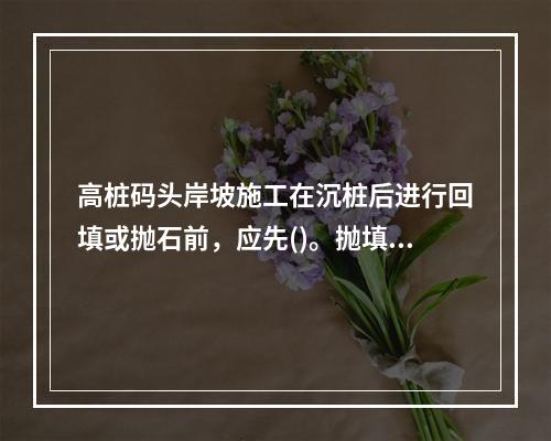 高桩码头岸坡施工在沉桩后进行回填或抛石前，应先()。抛填过程