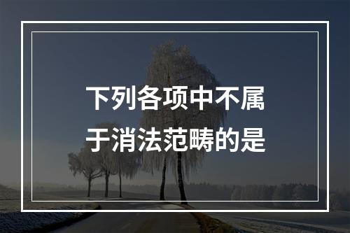 下列各项中不属于消法范畴的是