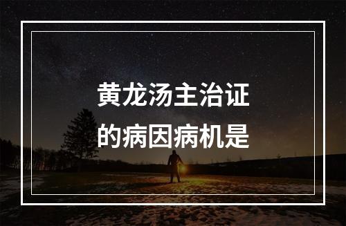 黄龙汤主治证的病因病机是