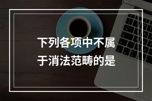 下列各项中不属于消法范畴的是