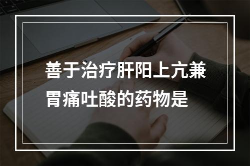 善于治疗肝阳上亢兼胃痛吐酸的药物是