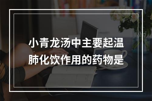 小青龙汤中主要起温肺化饮作用的药物是