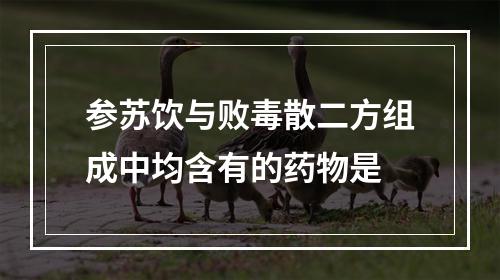 参苏饮与败毒散二方组成中均含有的药物是