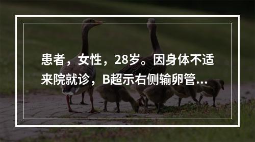 患者，女性，28岁。因身体不适来院就诊，B超示右侧输卵管异位