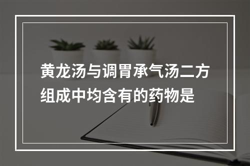 黄龙汤与调胃承气汤二方组成中均含有的药物是