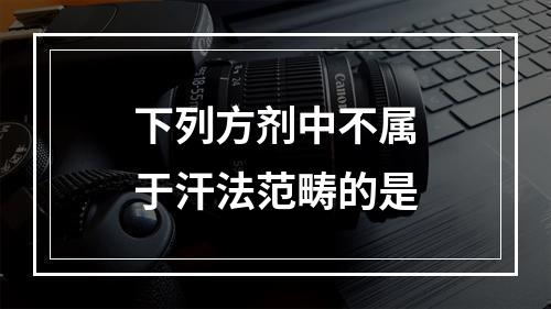 下列方剂中不属于汗法范畴的是