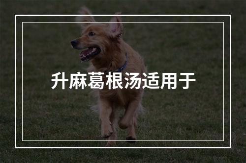 升麻葛根汤适用于