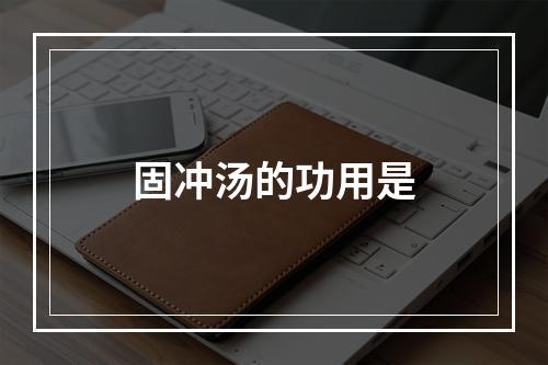 固冲汤的功用是