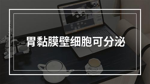 胃黏膜壁细胞可分泌