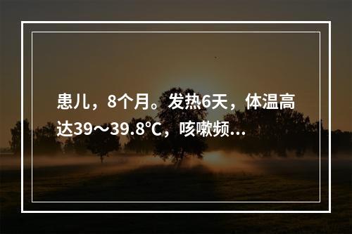 患儿，8个月。发热6天，体温高达39～39.8℃，咳嗽频繁，