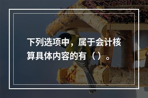 下列选项中，属于会计核算具体内容的有（ ）。