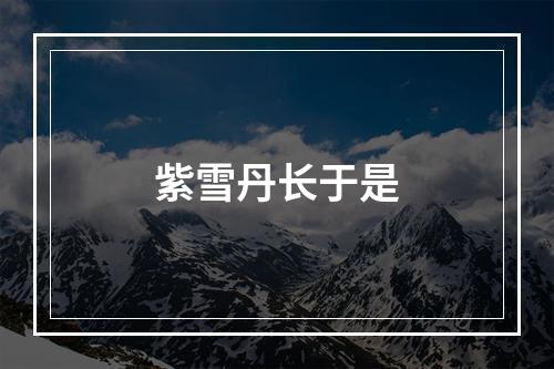 紫雪丹长于是