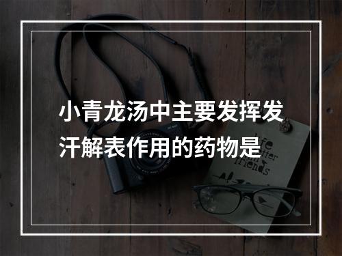 小青龙汤中主要发挥发汗解表作用的药物是