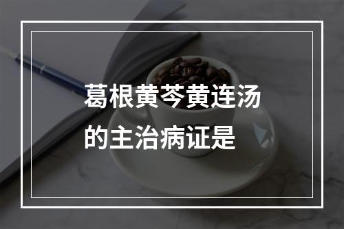 葛根黄芩黄连汤的主治病证是