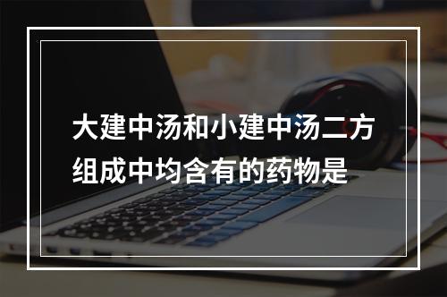 大建中汤和小建中汤二方组成中均含有的药物是