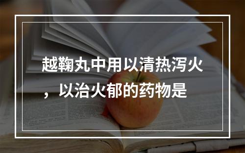 越鞠丸中用以清热泻火，以治火郁的药物是