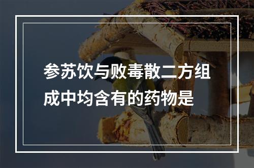 参苏饮与败毒散二方组成中均含有的药物是