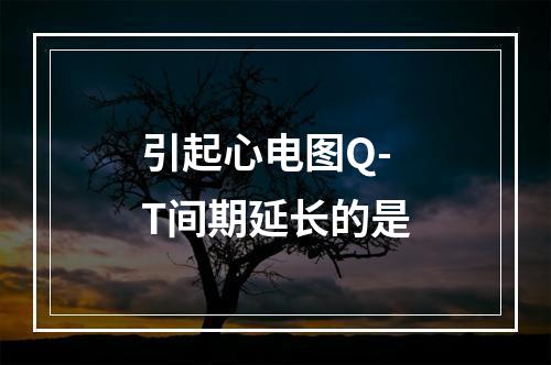 引起心电图Q-T间期延长的是