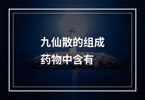 九仙散的组成药物中含有