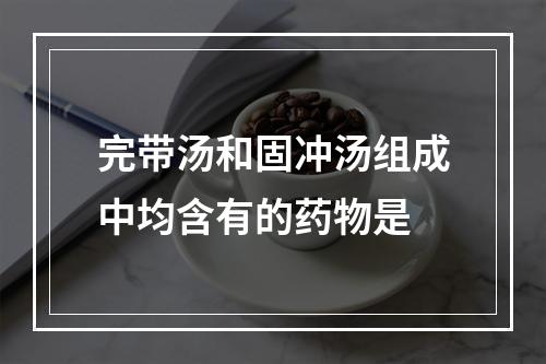 完带汤和固冲汤组成中均含有的药物是