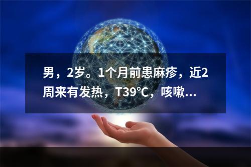 男，2岁。1个月前患麻疹，近2周来有发热，T39℃，咳嗽.气