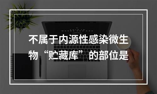 不属于内源性感染微生物“贮藏库”的部位是