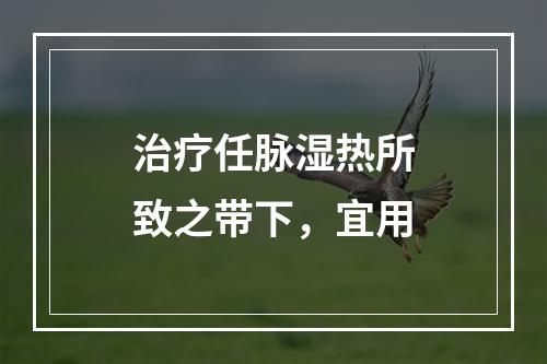 治疗任脉湿热所致之带下，宜用