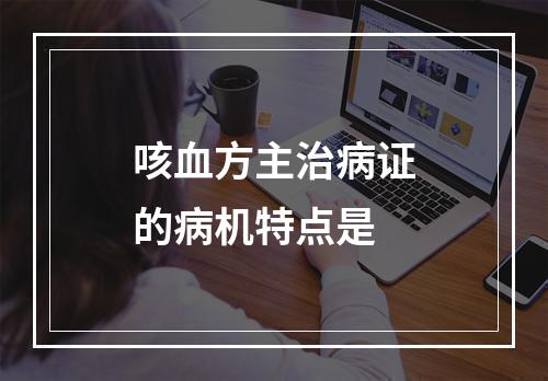 咳血方主治病证的病机特点是