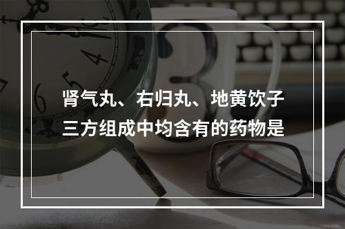 肾气丸、右归丸、地黄饮子三方组成中均含有的药物是