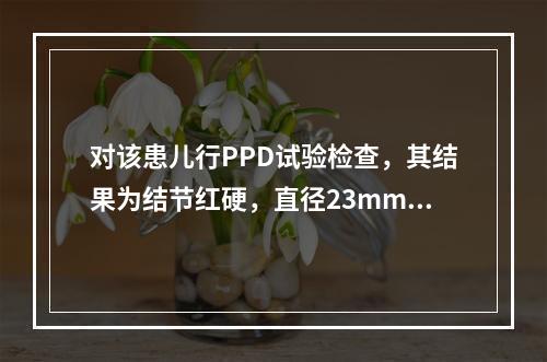 对该患儿行PPD试验检查，其结果为结节红硬，直径23mm。判