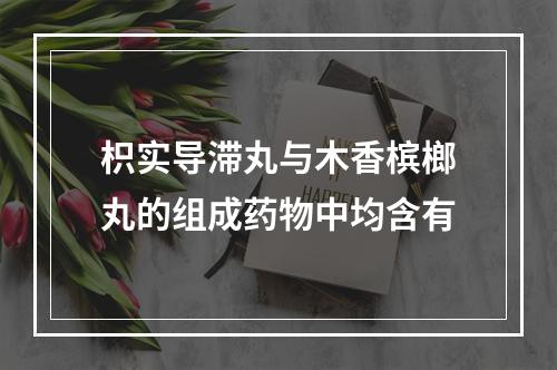 枳实导滞丸与木香槟榔丸的组成药物中均含有