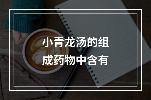 小青龙汤的组成药物中含有