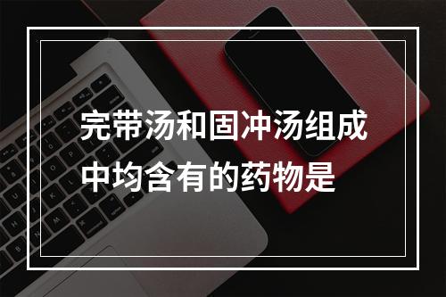 完带汤和固冲汤组成中均含有的药物是